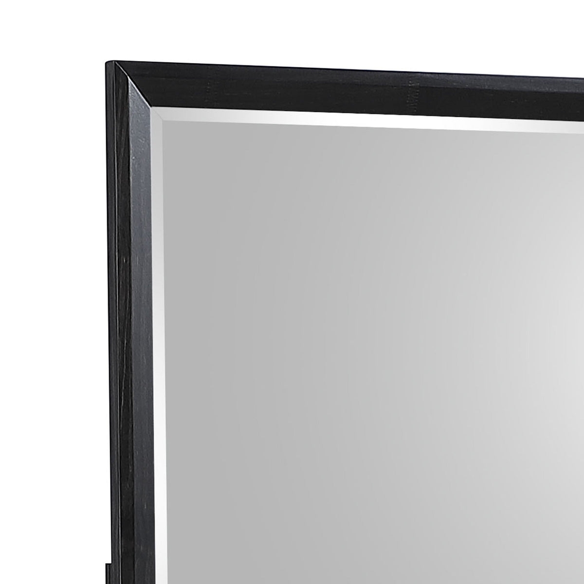 Houston Traditional Style Mirror Made with Wood in Walnut