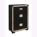 Lively Black/Gold Chest