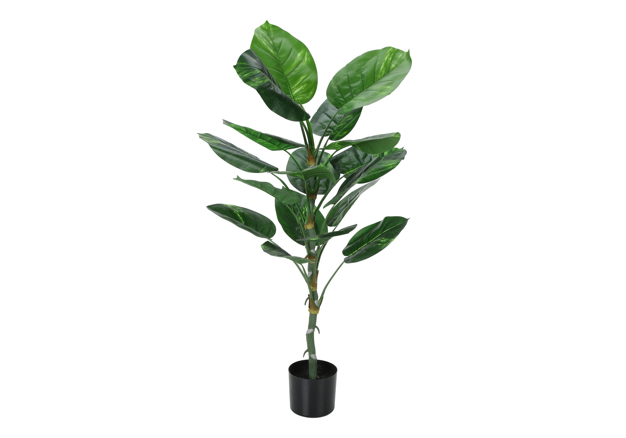 Artificial Dieffenbachia Tree - 54" Tall Faux Indoor Plant
