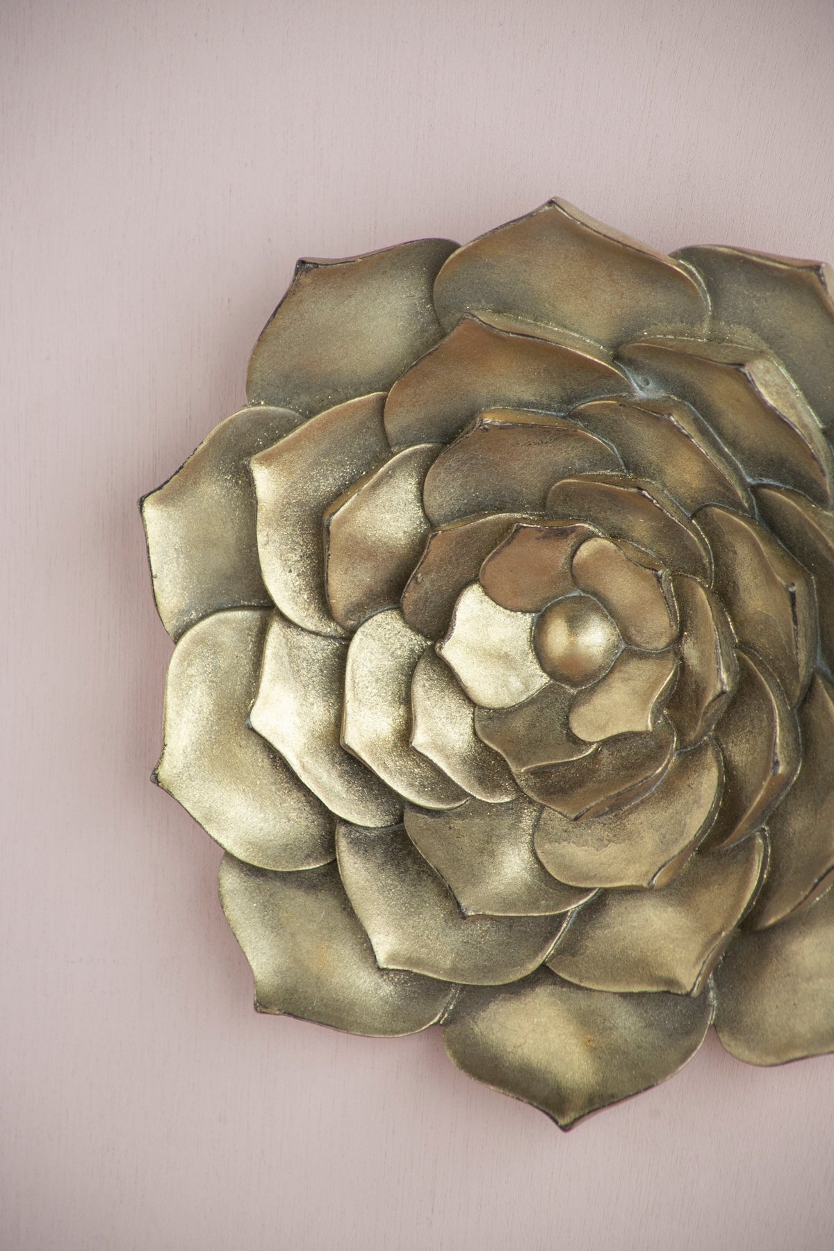 D10x1.4" Succulent Wall Plaque - 2 Piece