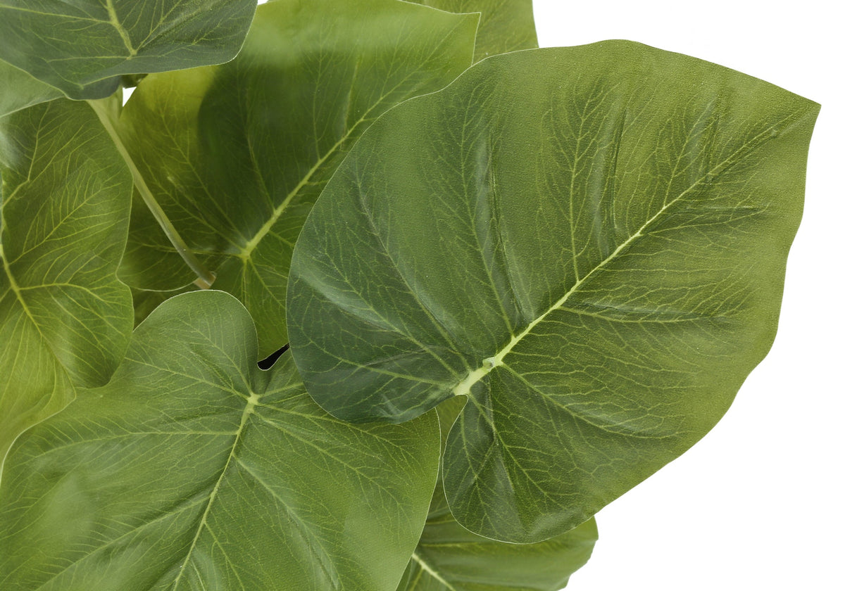 Artificial Plant Set of 2, 13" Tall Epipremnum