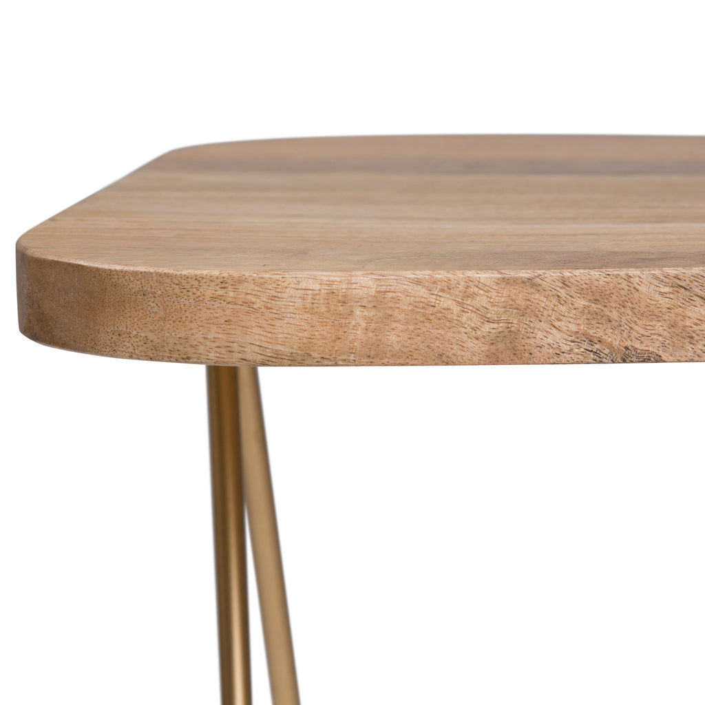 Patrice 18 Inch Wide Metal and Solid Mango Wood Accent Table