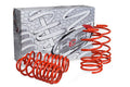 B&G Lowering Springs 1990-1994 VW PASSAT