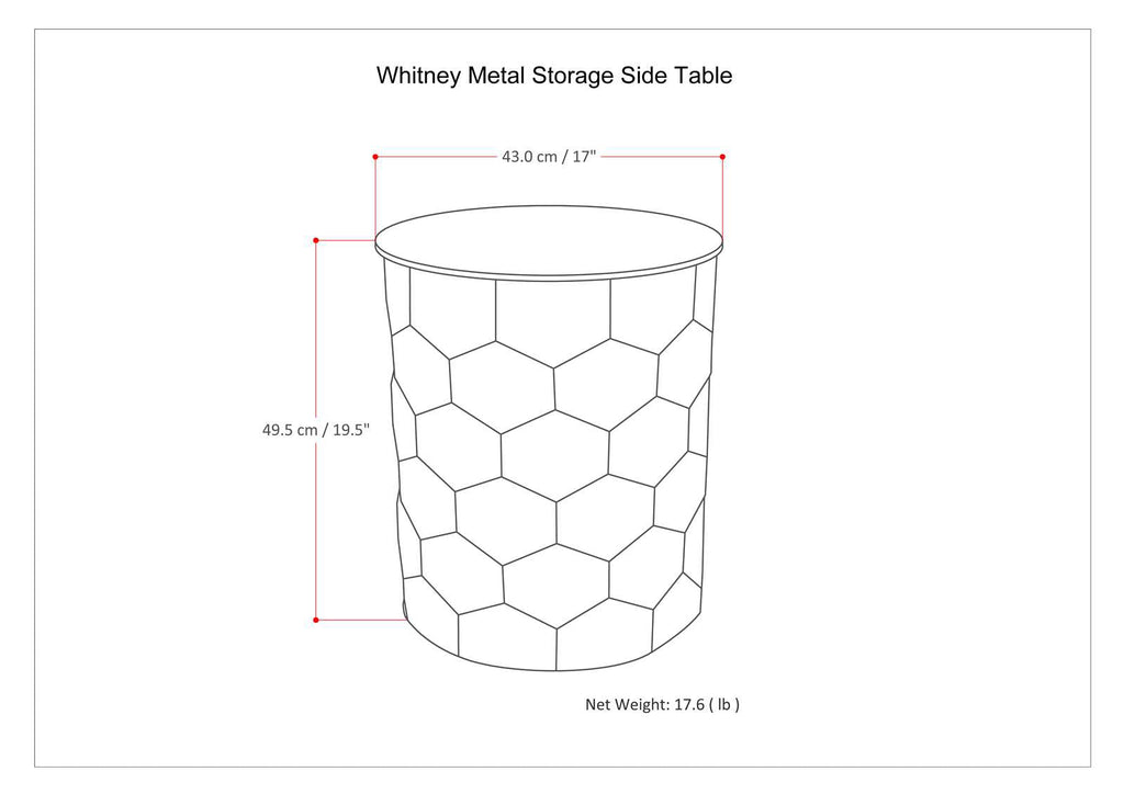 Whitney 17 Inch Wide Metal Storage Side Table in Antique