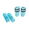 Godspeed Traction-S Performance Lowering Springs For Dodge Charger SRT8 (LD) RWD Witho Nivomat 2005-14
