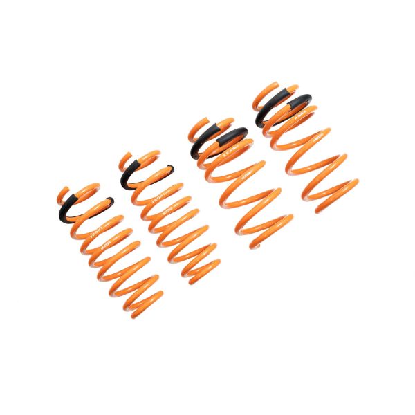 Megan Racing Lowering Springs RWD for Tesla Model 3 2017+ Front Drop -35mm Rear Drop -21mm MR-LS-TSL17
