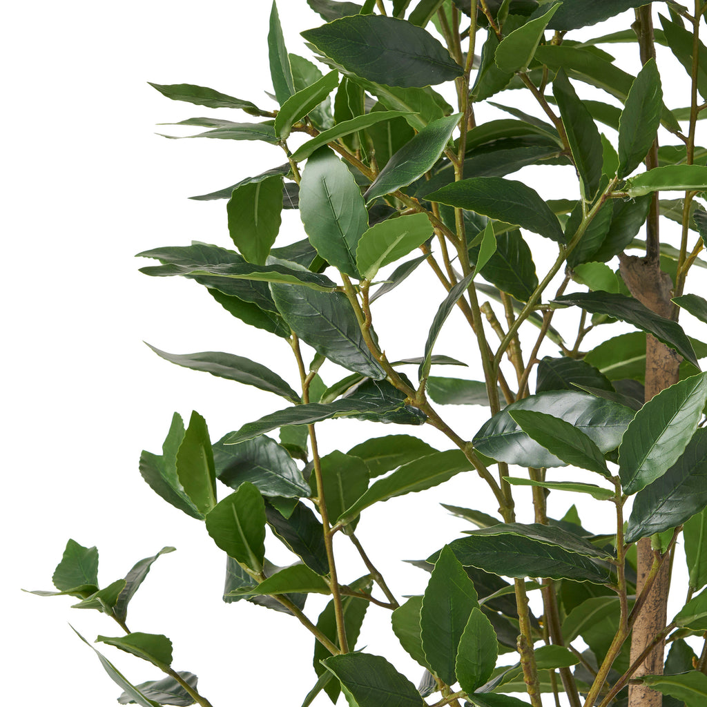 150cm Artificial Laurel Tree